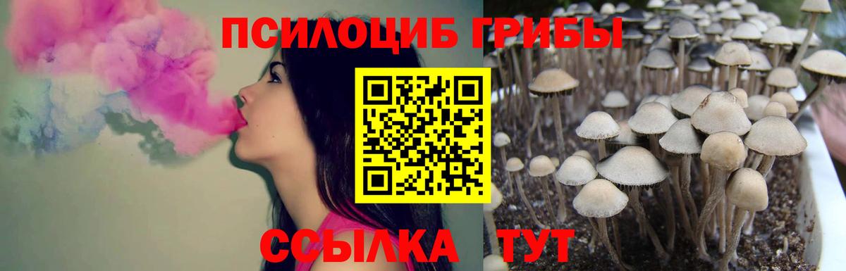 Галлюциногенные грибы GOLDEN TEACHER Славянск-на-Кубани